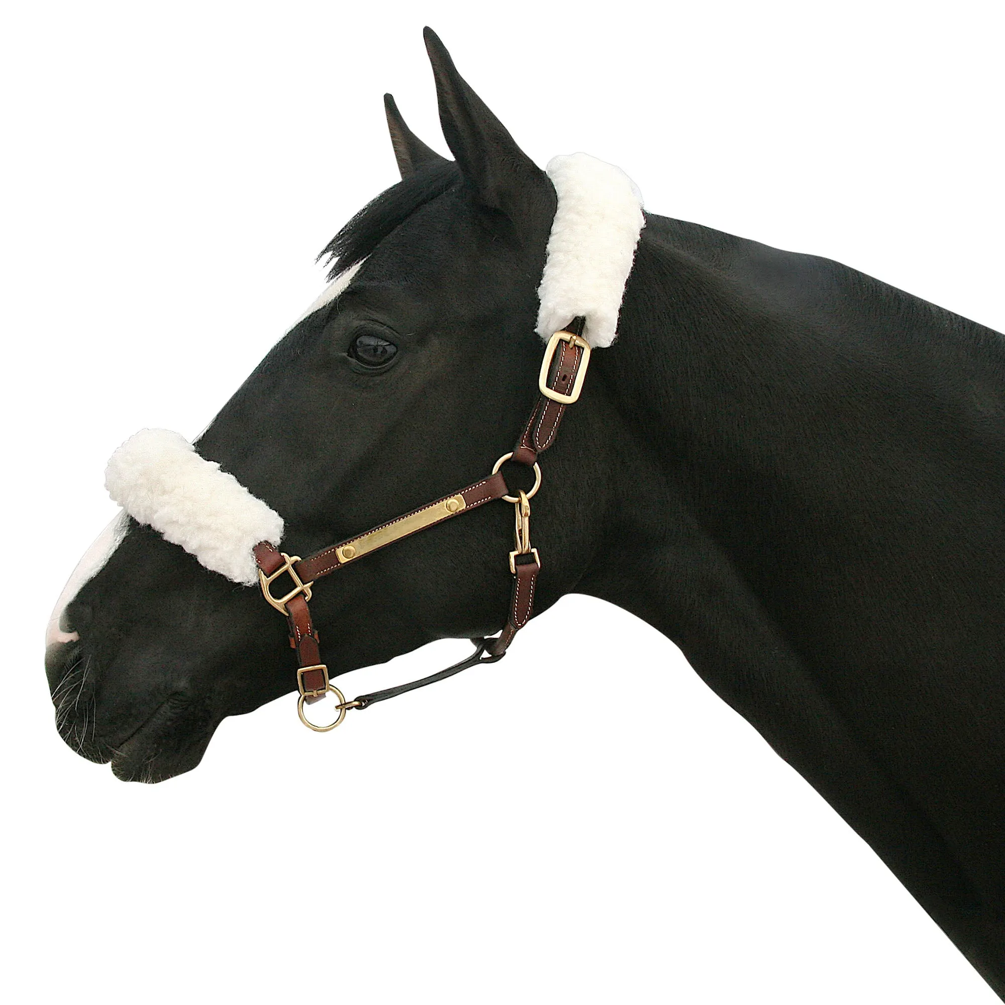 Fleece White Halter Cover