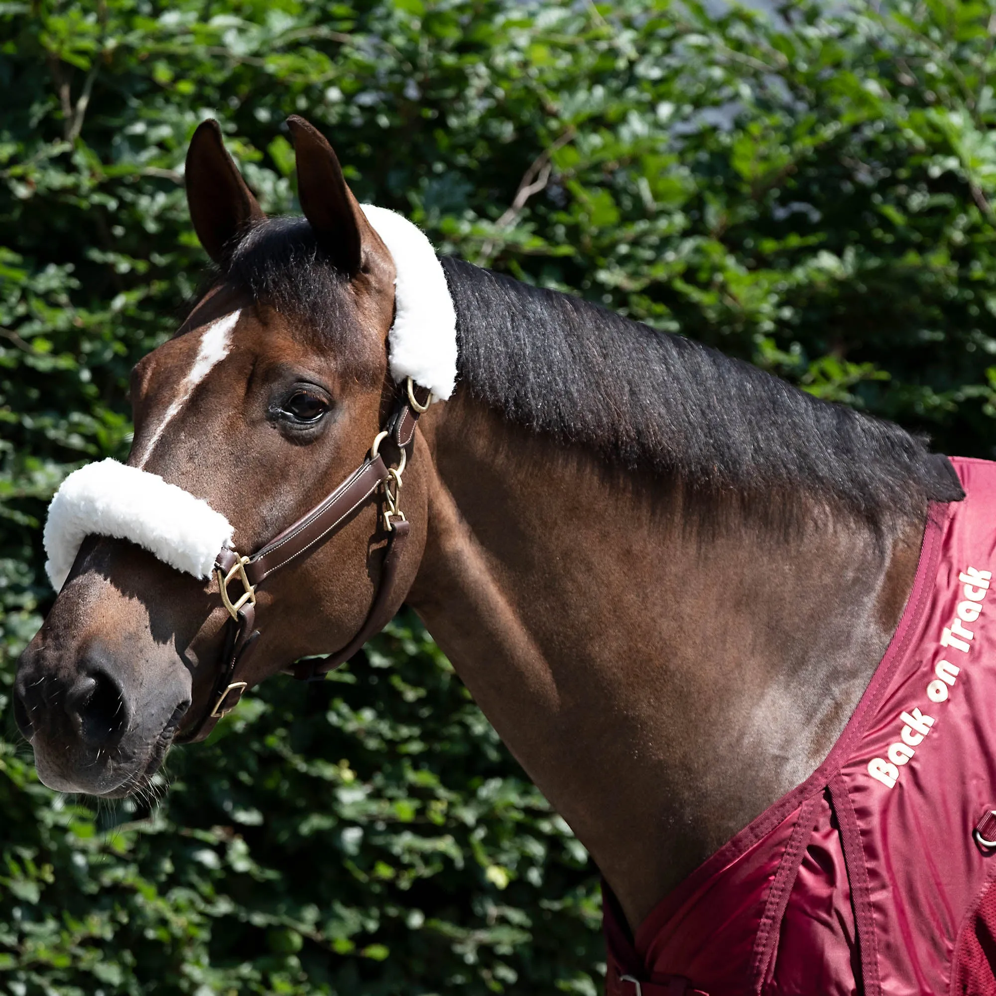 Fleece White Halter Cover